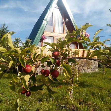 Banjska Brvnara Villa Vrnjačka Banja Eksteriør billede