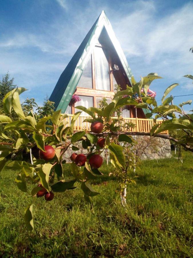 Banjska Brvnara Villa Vrnjačka Banja Eksteriør billede