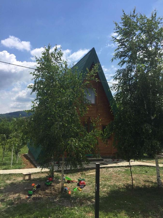 Banjska Brvnara Villa Vrnjačka Banja Eksteriør billede