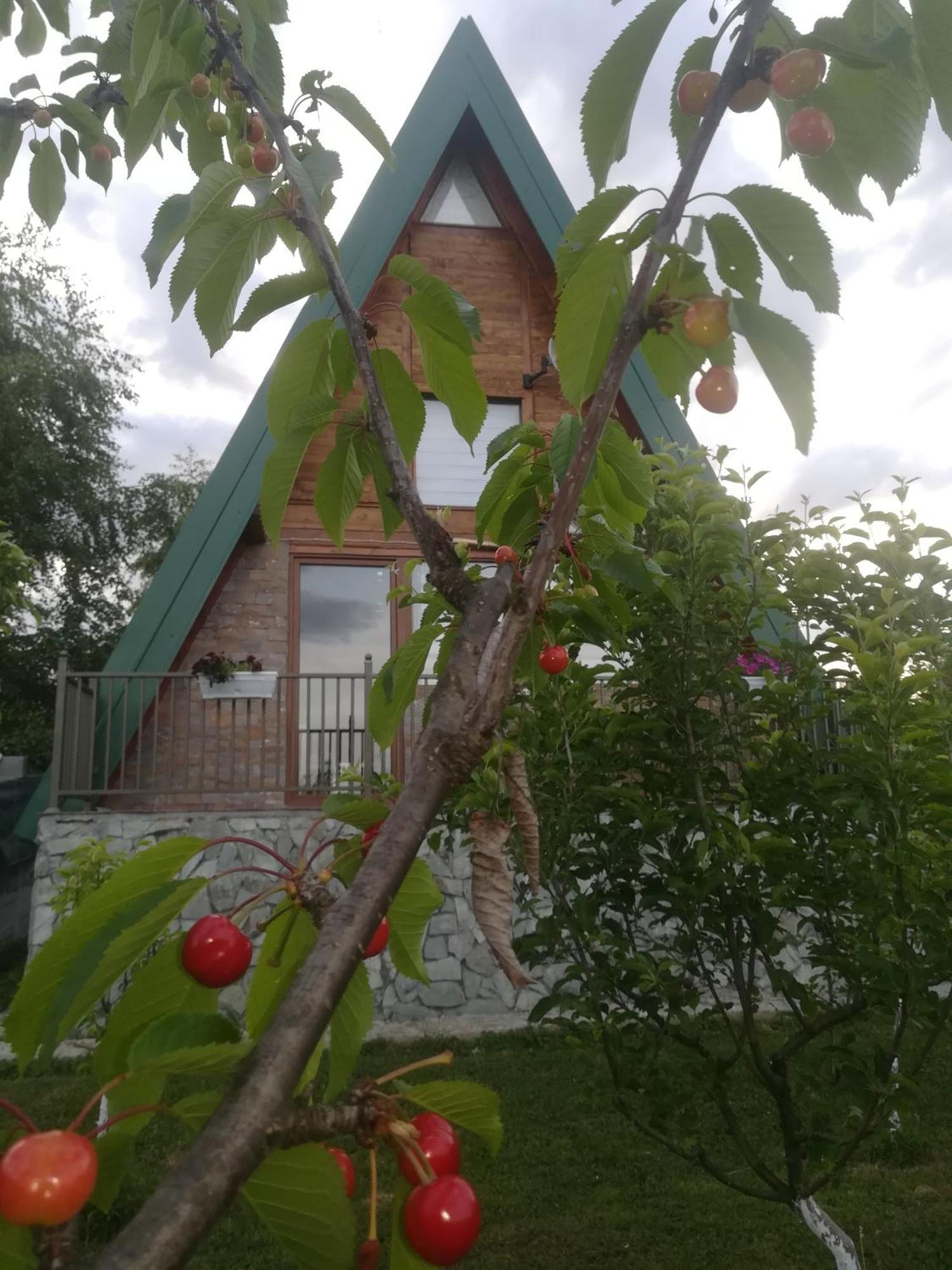 Banjska Brvnara Villa Vrnjačka Banja Eksteriør billede